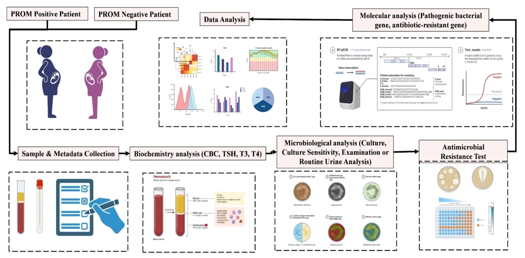 Thesis Presentation Thumbnail